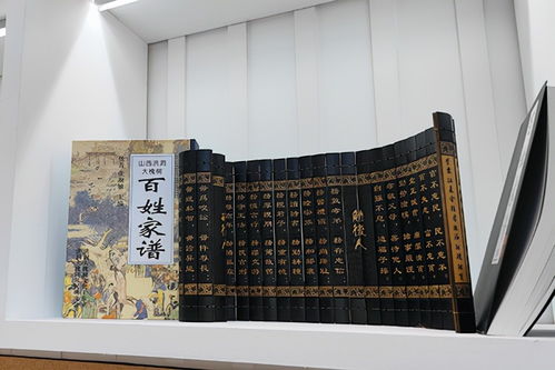 松云家谱亮相文博会 洪洞大槐树景区文创的寻根新叙事